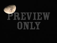 THE MOON